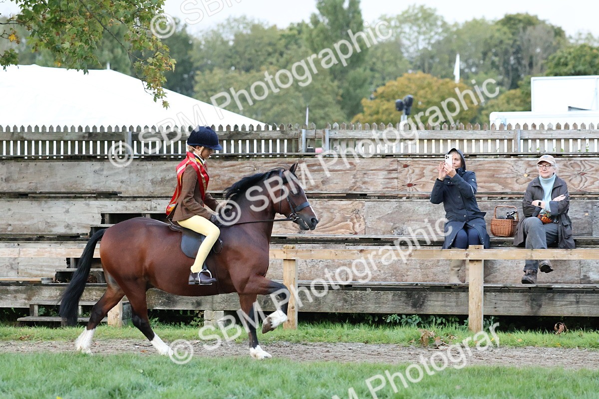 SBM_53422 - Super Supreme Championship (Sat)