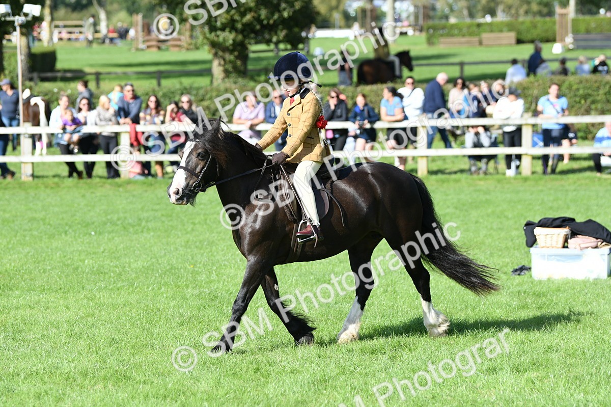 SBM_50364 - S21 - Novice & Newcomers 1st Ridden Pony