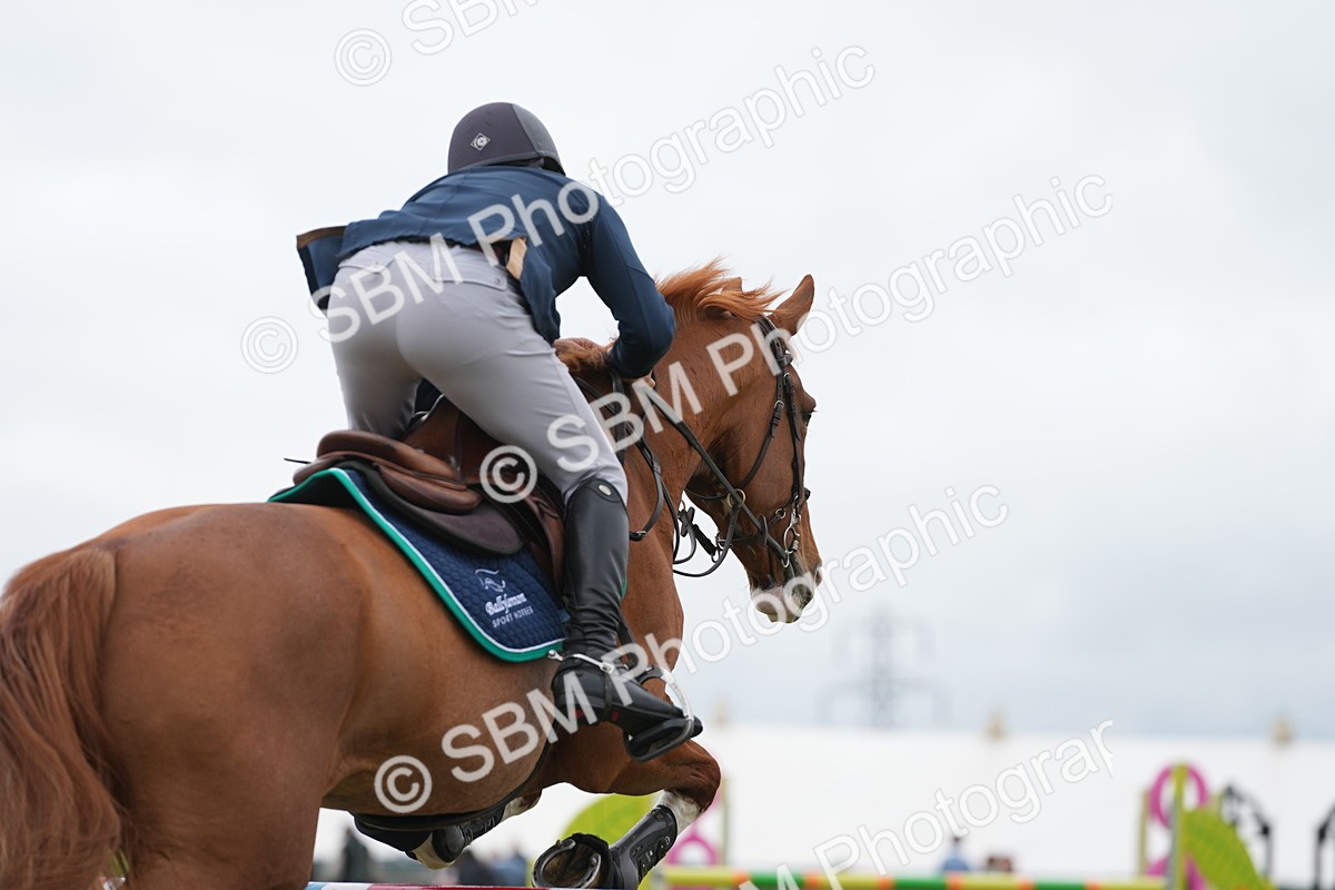 SBM_03464 - Class 201 - British Horse Feeds Speedi Beet Horse of the Year Show Grade  C