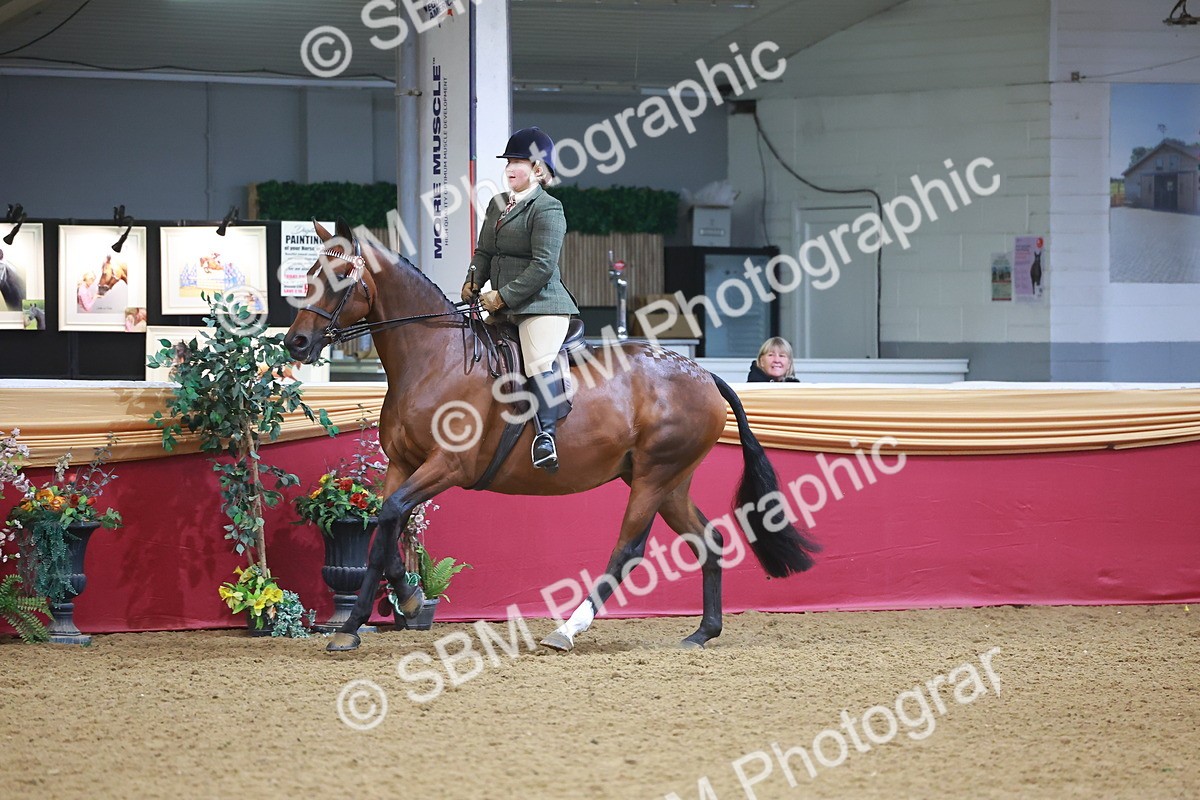 SBM_10648 - Class 103 - HOYS Veteran Qualifier - Ridden Pre Vet