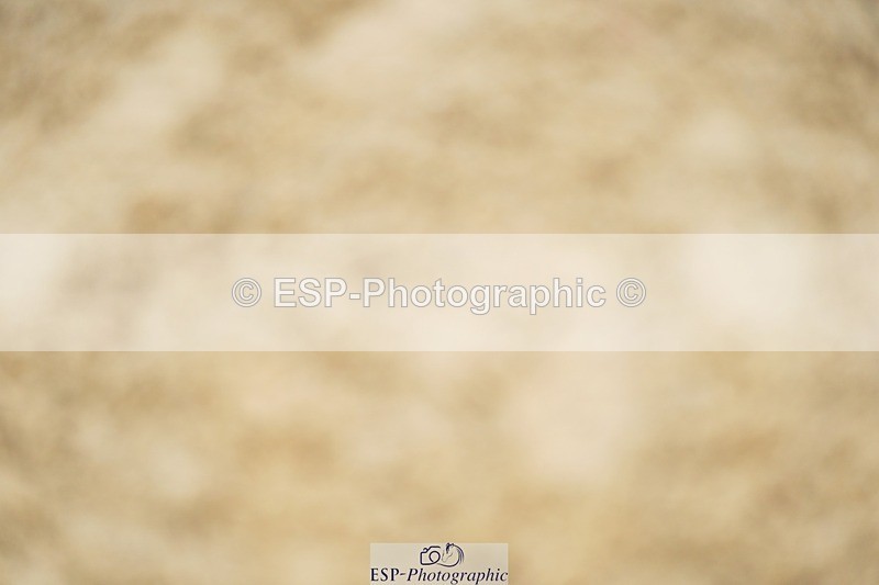 240309-104728-00150 - Cls 01 AE 70cm