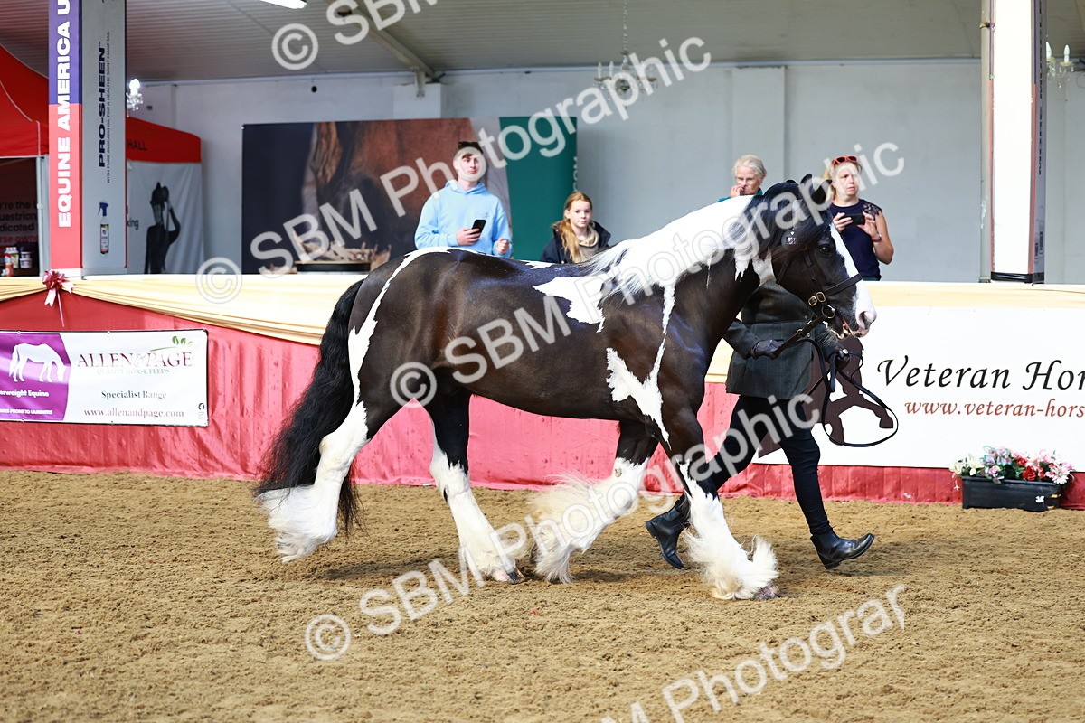 SBM_23044 - Class 903 - Supreme Final - IH Pre Vet