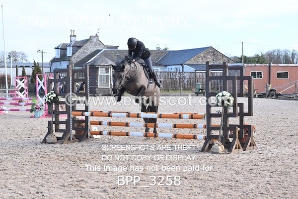 BPP_3258 - CLASS 2  Club/ Unaffiliated 80cms Open