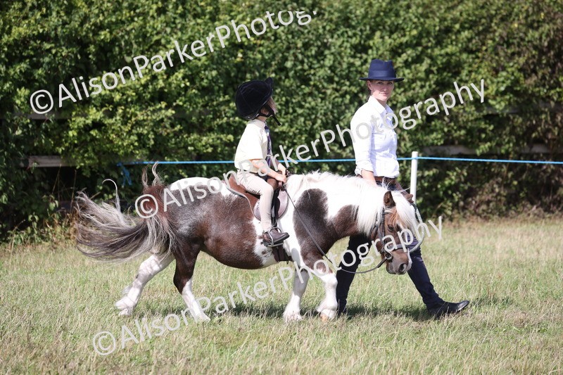 20260906-2732 - Class 25 - Absolute Beginners Pony