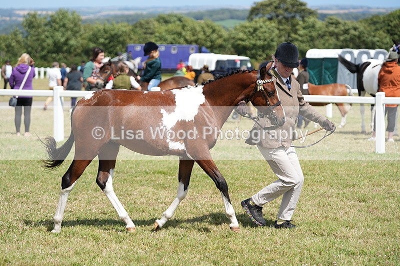 DSC07289 - Class 67: NPS SP Youngstock