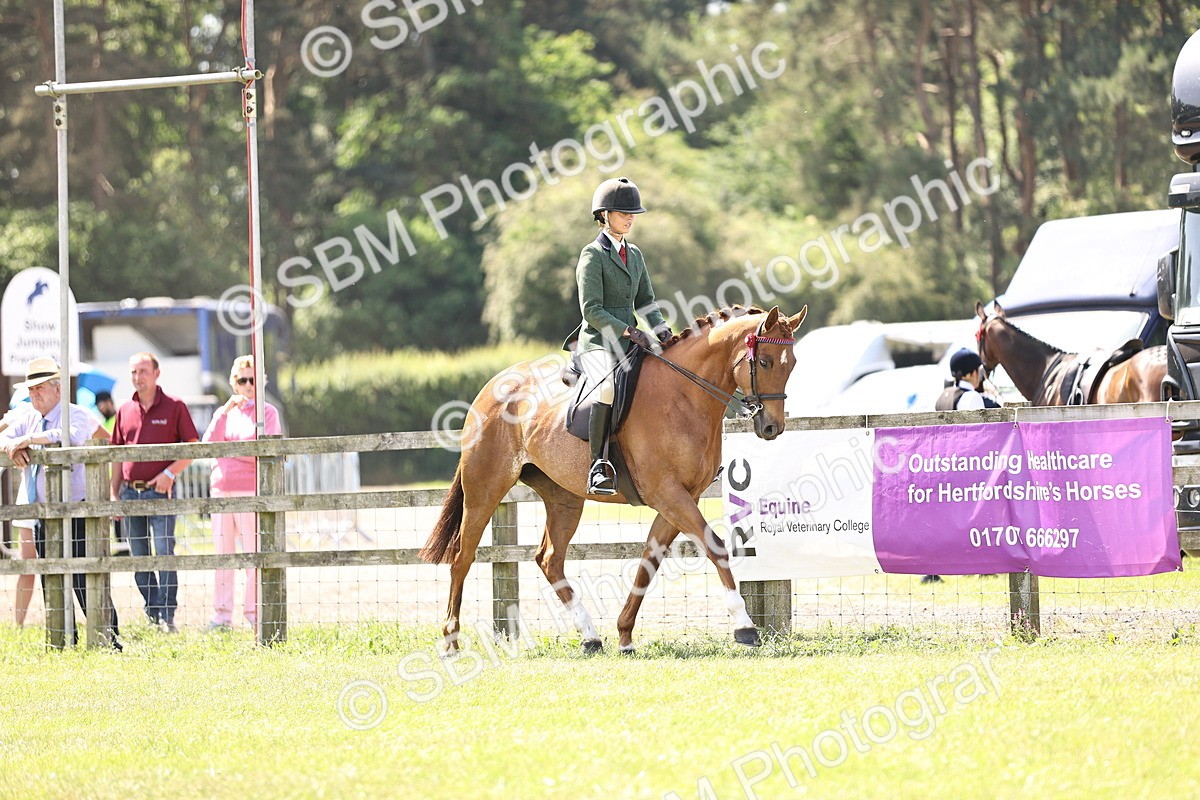 SBM_14820 - Class 78 - LIHS BSHA Open Racehorse & Show Horse
