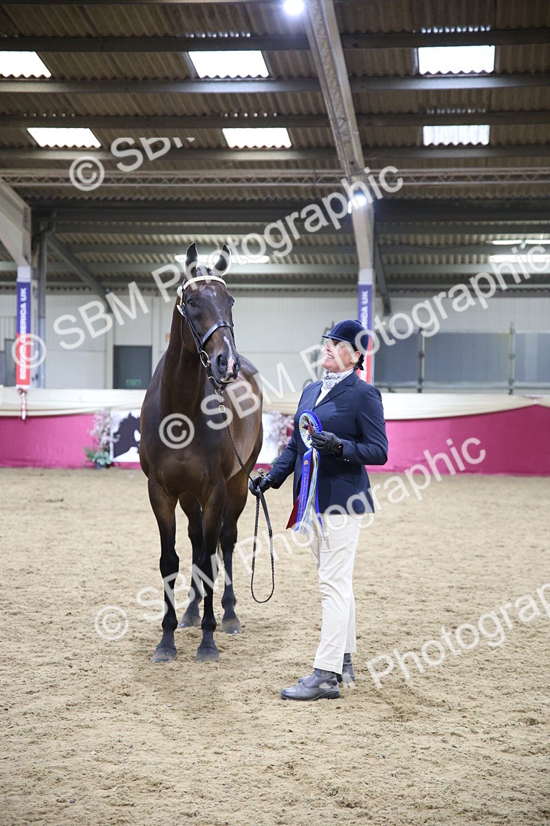 SBM_18841 - Class E IH Horse Champ
