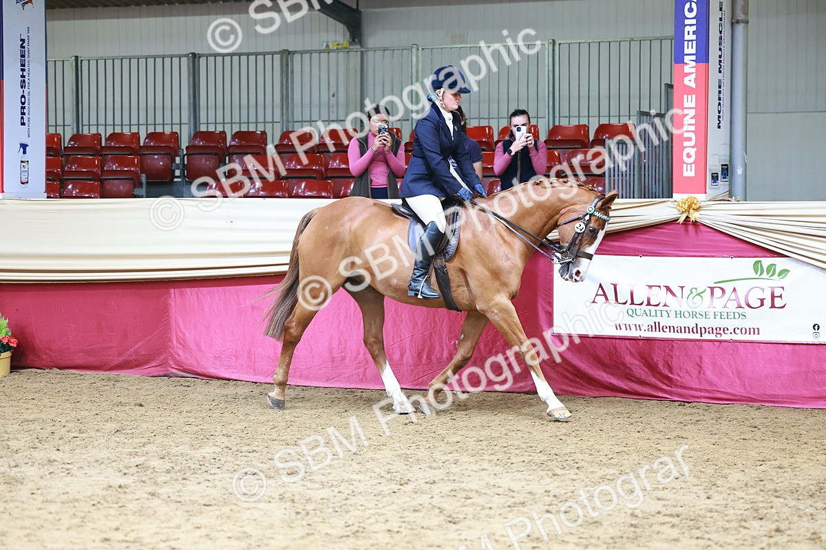 SBM_23700 - Class 905 - Supreme Final - Ridden Veteran