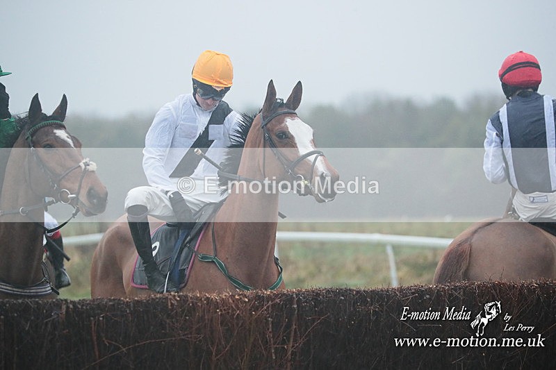 PtP 101223 449 - New Forest Hounds PtP Larkhill 10/12/23