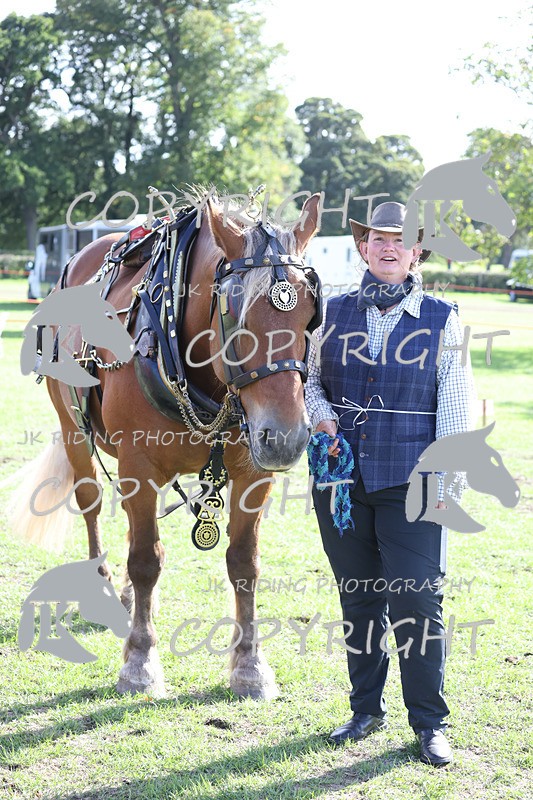 APP_4067 - Class 19 Fancy dress