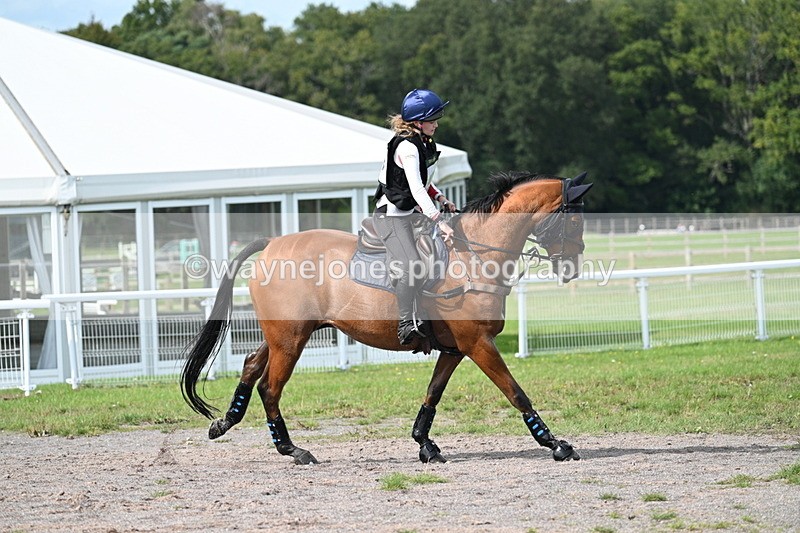 WJ7_2586 - Time 13:55 to 14:05