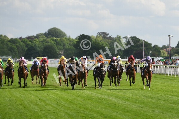 yr11062022r8-17 - Race 8 5.25pm Clean up with PPS Stakes
