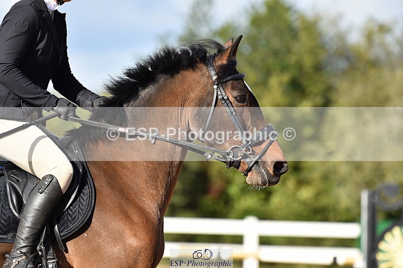 231014A-104412-03883 - Cls 13 85cm Amateur Q 2nd R