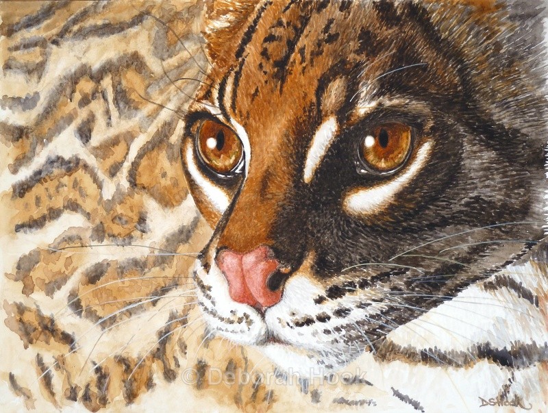 The Watchman - Big cats