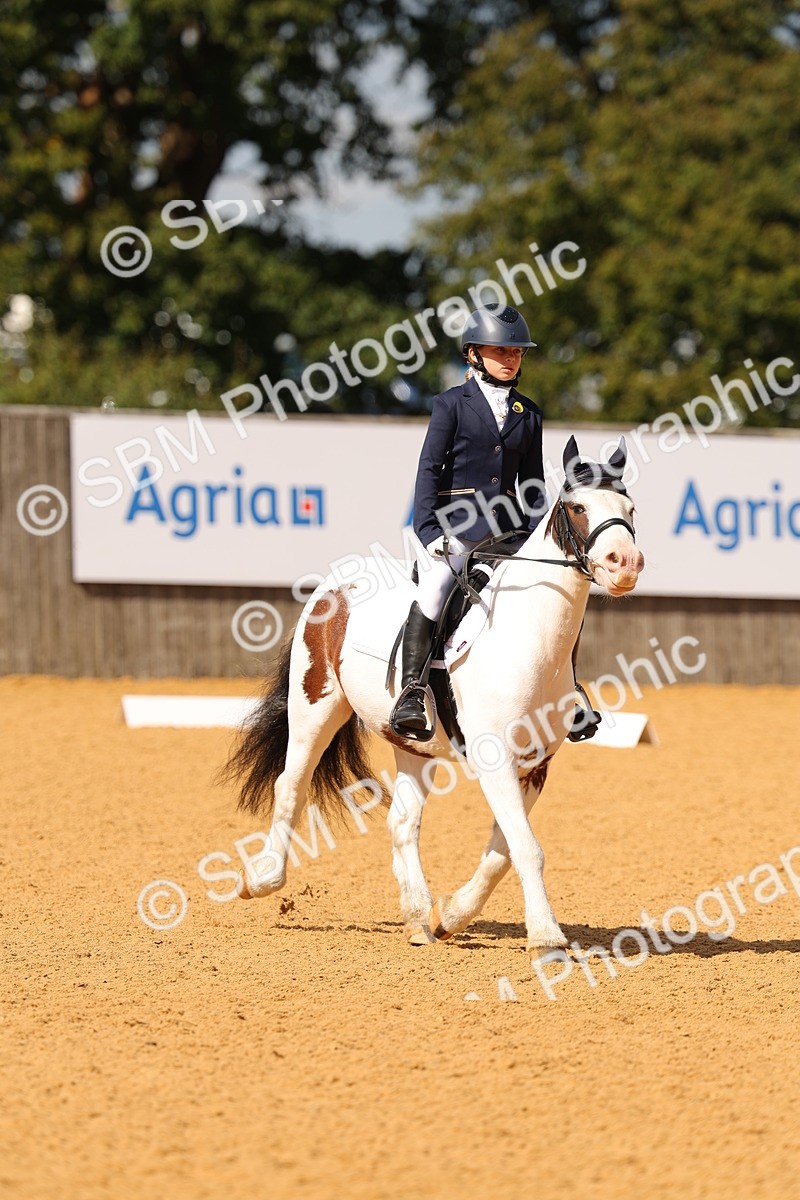 SBM_44081 - D22 - Junior Championship - Intro B