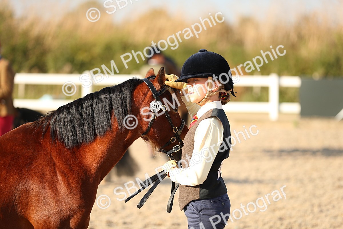SBM_08987 - Class 29 IH Veteran Pony