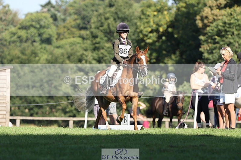 250823A-092055-25933 - Arena D