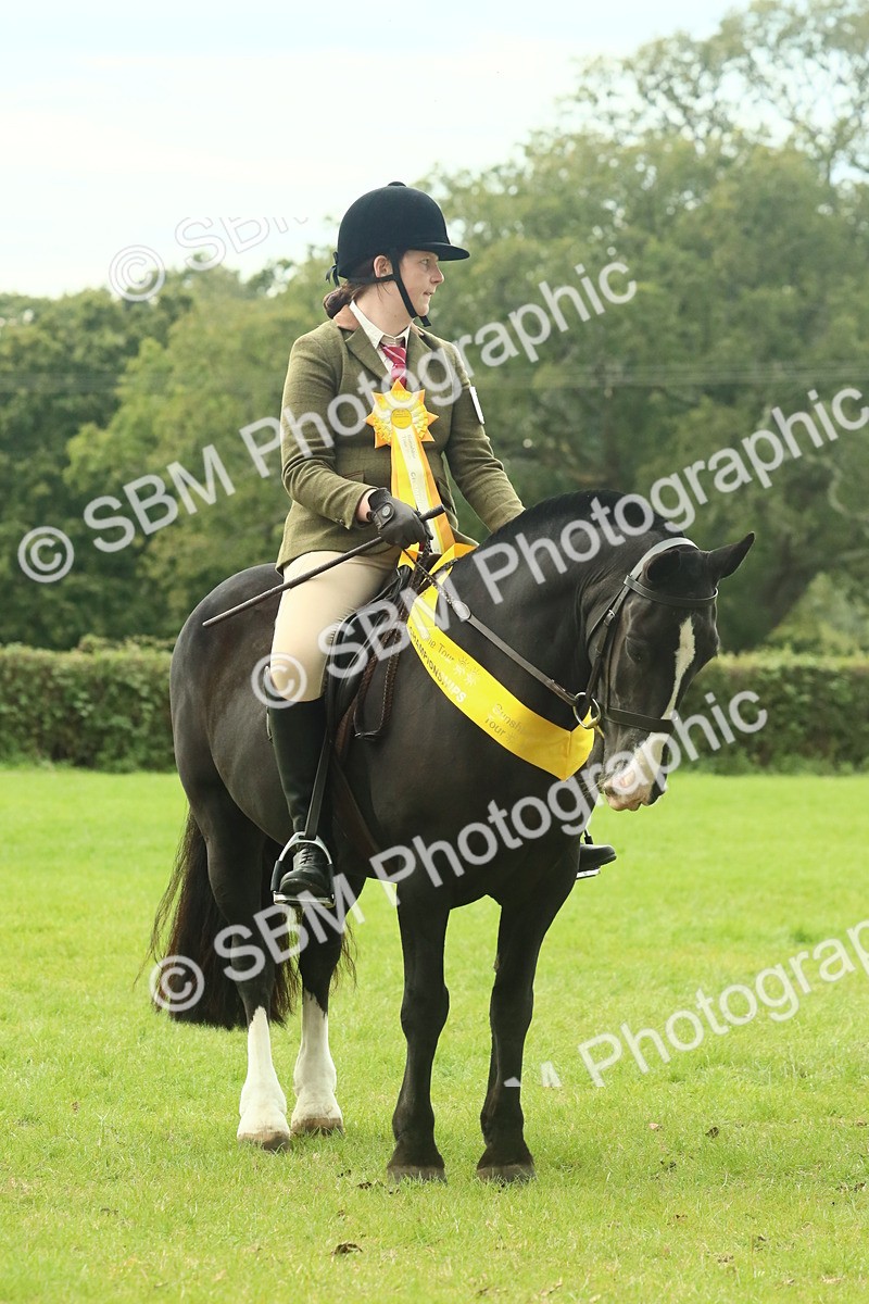 SBM_75056 - Ridden Pony Supreme Championship