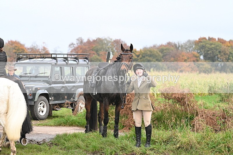 WJ7_0522 - Camera 1 & Last fence