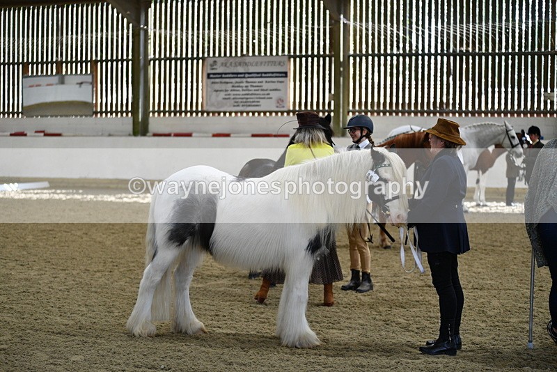 WJ5_4003 - Class 2 Best Condition In hand