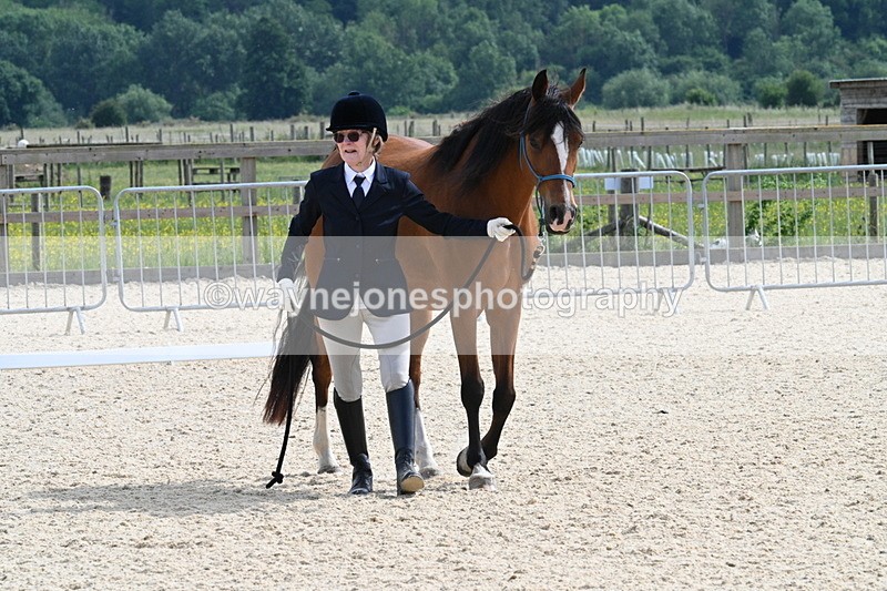 WJ7_8208 - Time 16:10 to 16:25