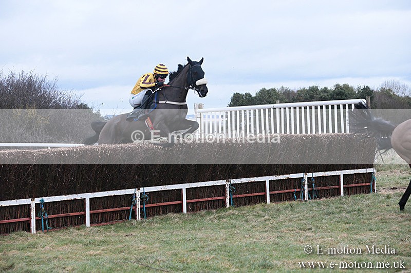 PtP 230119 152 - Royal Artillery Point-to-Point  - Larkhill  - 26/01/19
