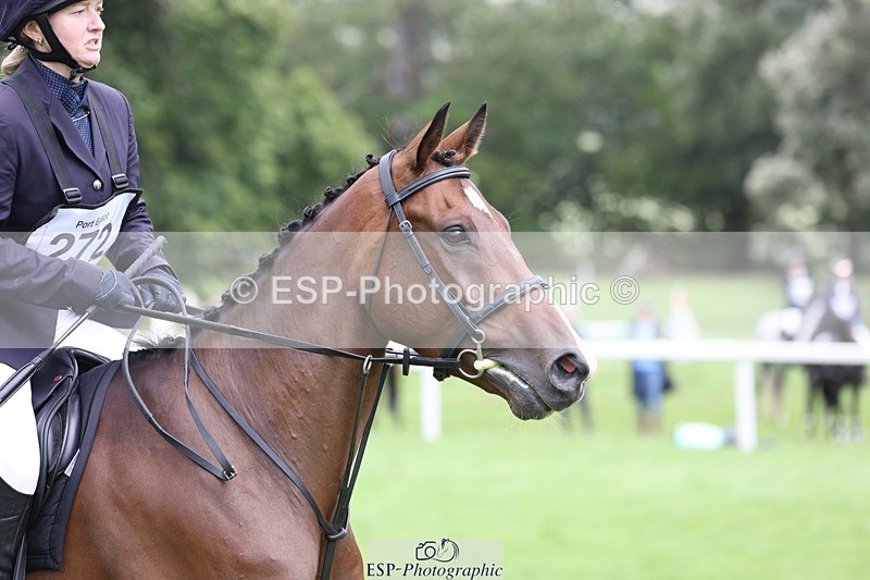 230805-134618-03382 - SJ 13 to End