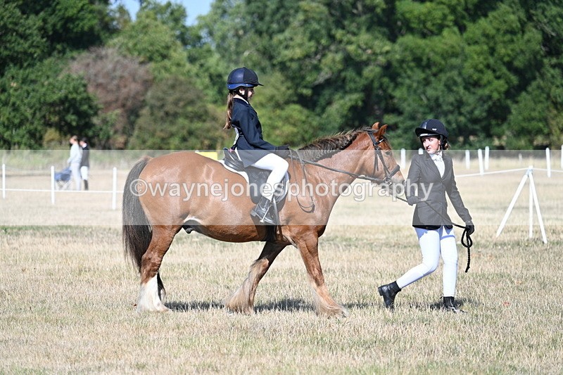 WJ7_2978 - Class 8 Ridden Tack & Turnout