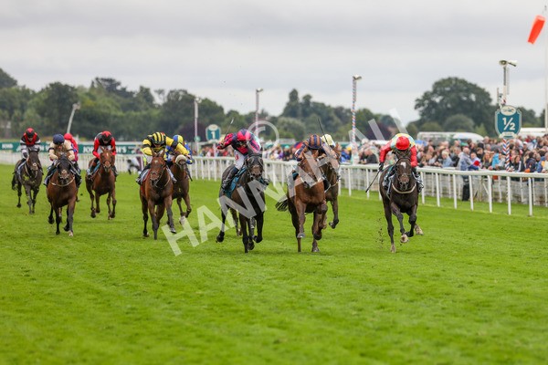 130724-Race 6-Zimmerman-2198 - Race 6 4.50pm John Smith's Stayers' Handicap