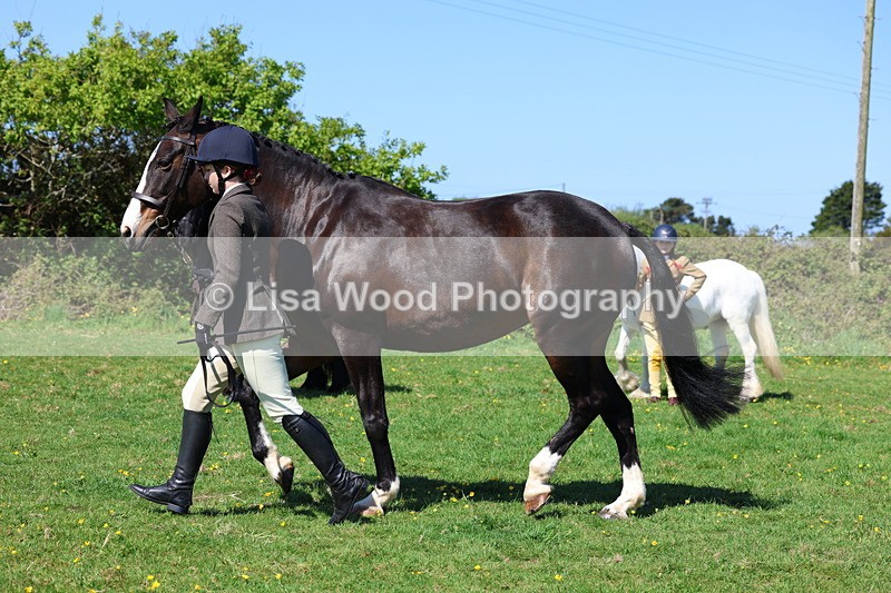 3E7A9861 - Class 17: Young Handler