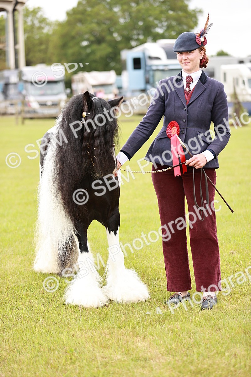 SBM_06003 - Class 39-41 TGCA In Hand and Ridden