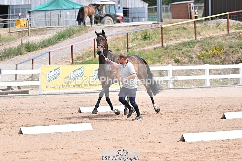 250716-125643-00238 - Trot Up 12.30 to 1.30