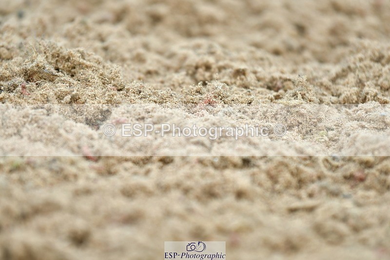 230513A-091924-00095 - Cls 11 Stepping Stones 128+138cm