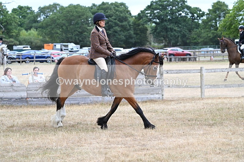 WJ7_0556 - Class 6 Ridden Mountain and Moorland