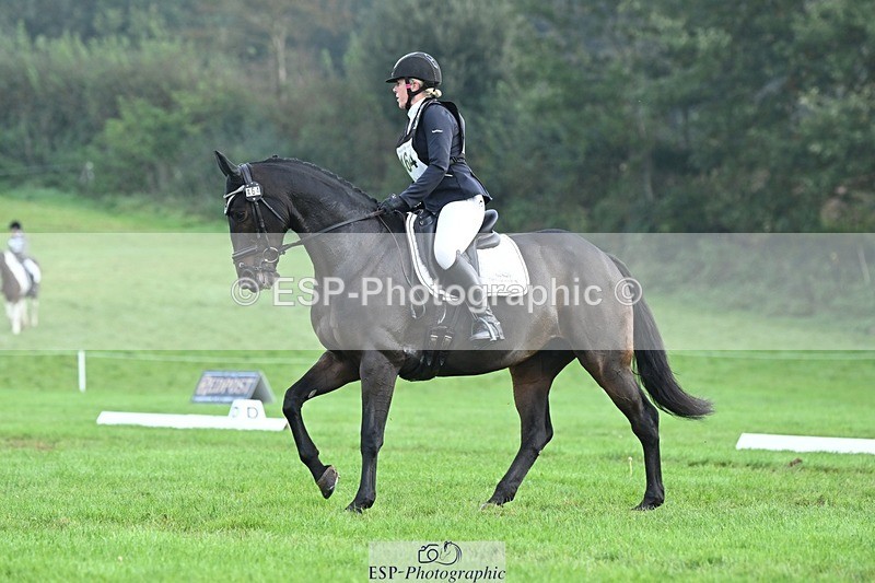 231020-094624-05762 - 464-IMPERIAL.TANGLE-Deborah.Burrell-DR