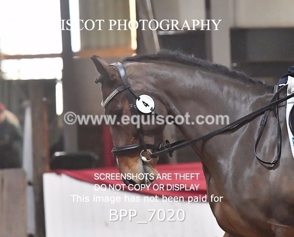 BPP_7020 - CLASS 4 PRELIM CHAMPIONSHIP TEST 6