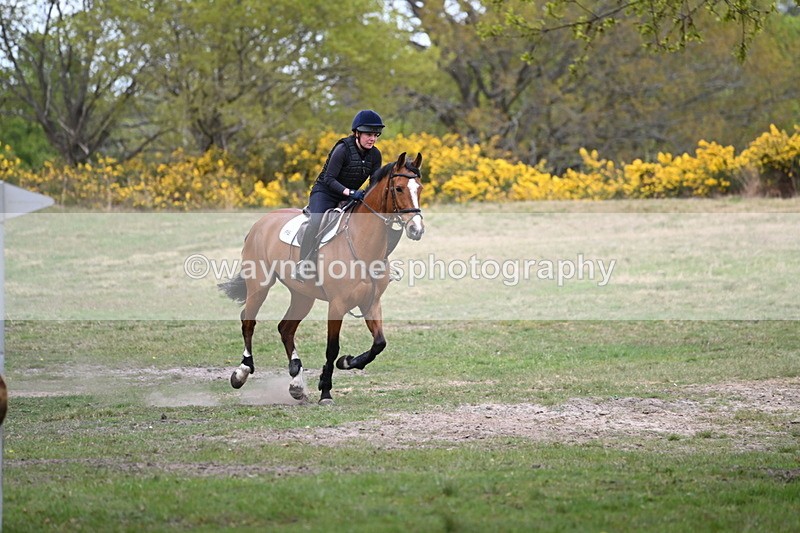 WJ6_0960 - Time 14:53 to 15:16