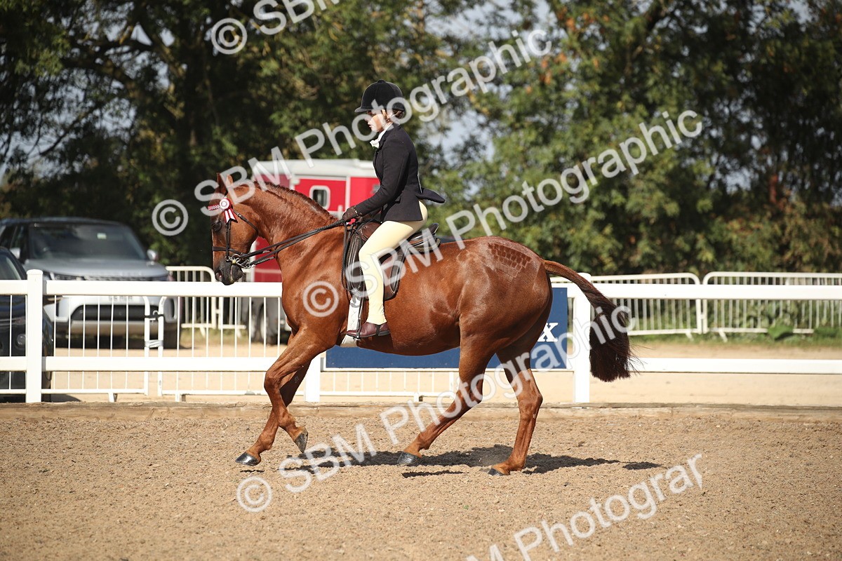 SBM_22929 - Class 603 - 2026 - Ridden Pre Vet