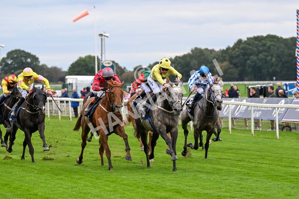 101025-Race 1-Ice Max-0045 - Race 1 William Hill Autumn Mile Handicap at York