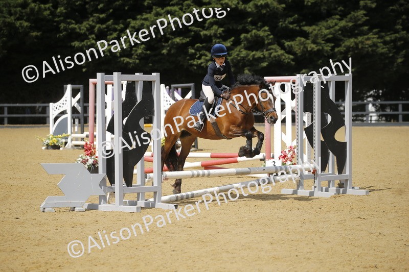 20250622-3873 - 50cm