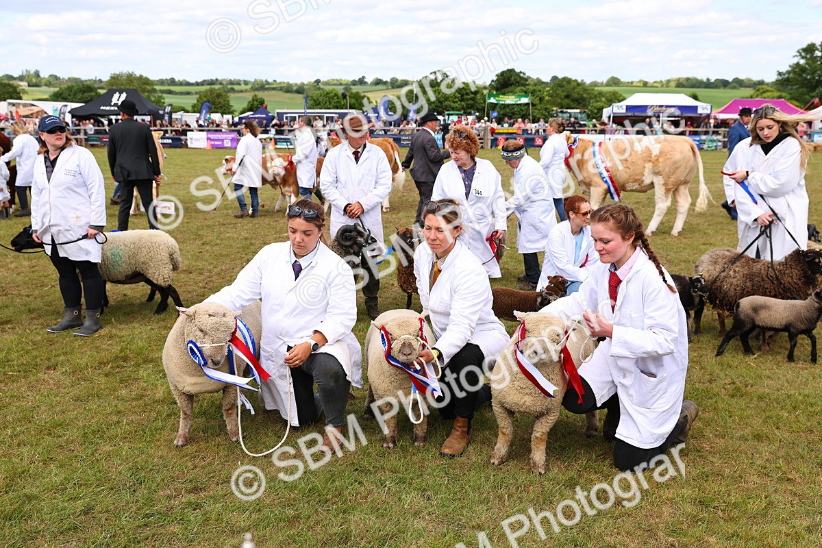 SBM_16948 - Grand Parade