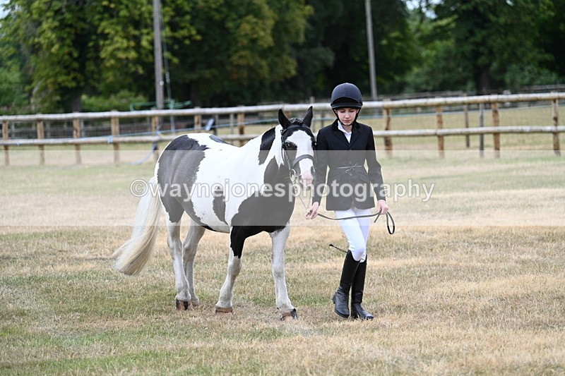 WJ7_1471 - Class 4 Prettiest Mare up to 14.2hh in hand