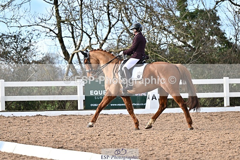 241214-134014-02532 - 112-kelly.jewell-Avalon
