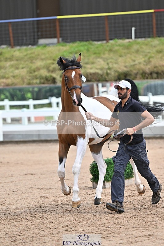 240718A-105308-01604 - Trot Up 1pm to 2pm