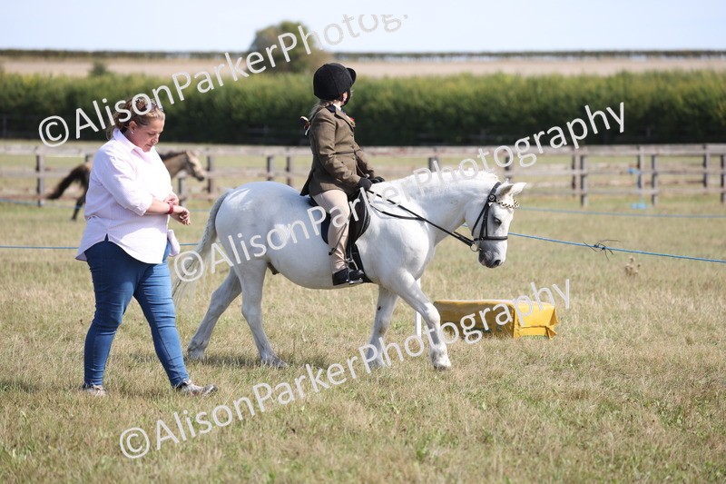 20260906-2552 - Class 18 - Childs First Pony