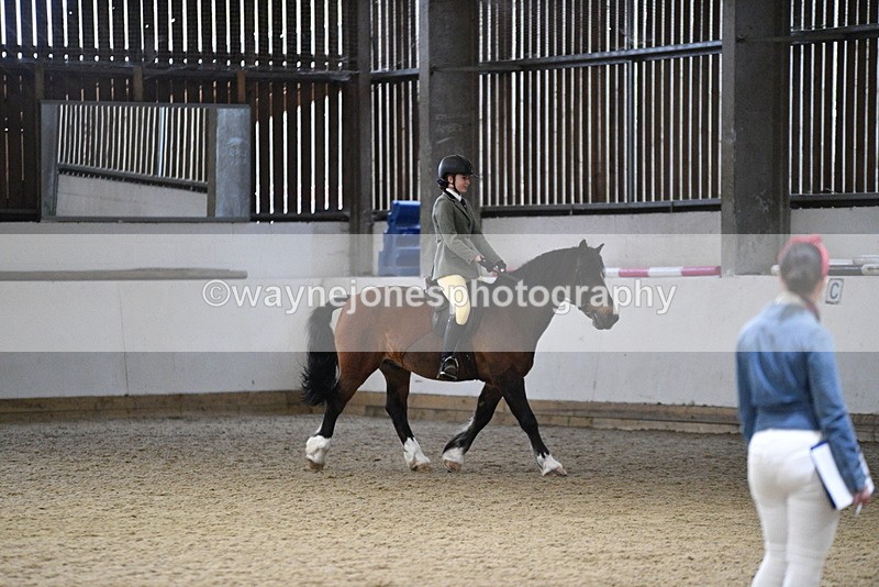 WJ5_8495 - Class 14 Novice Ridden/Rider