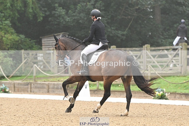 240811-094143-04846 - 119-Alice.Kneen-Dazzling.Springtime