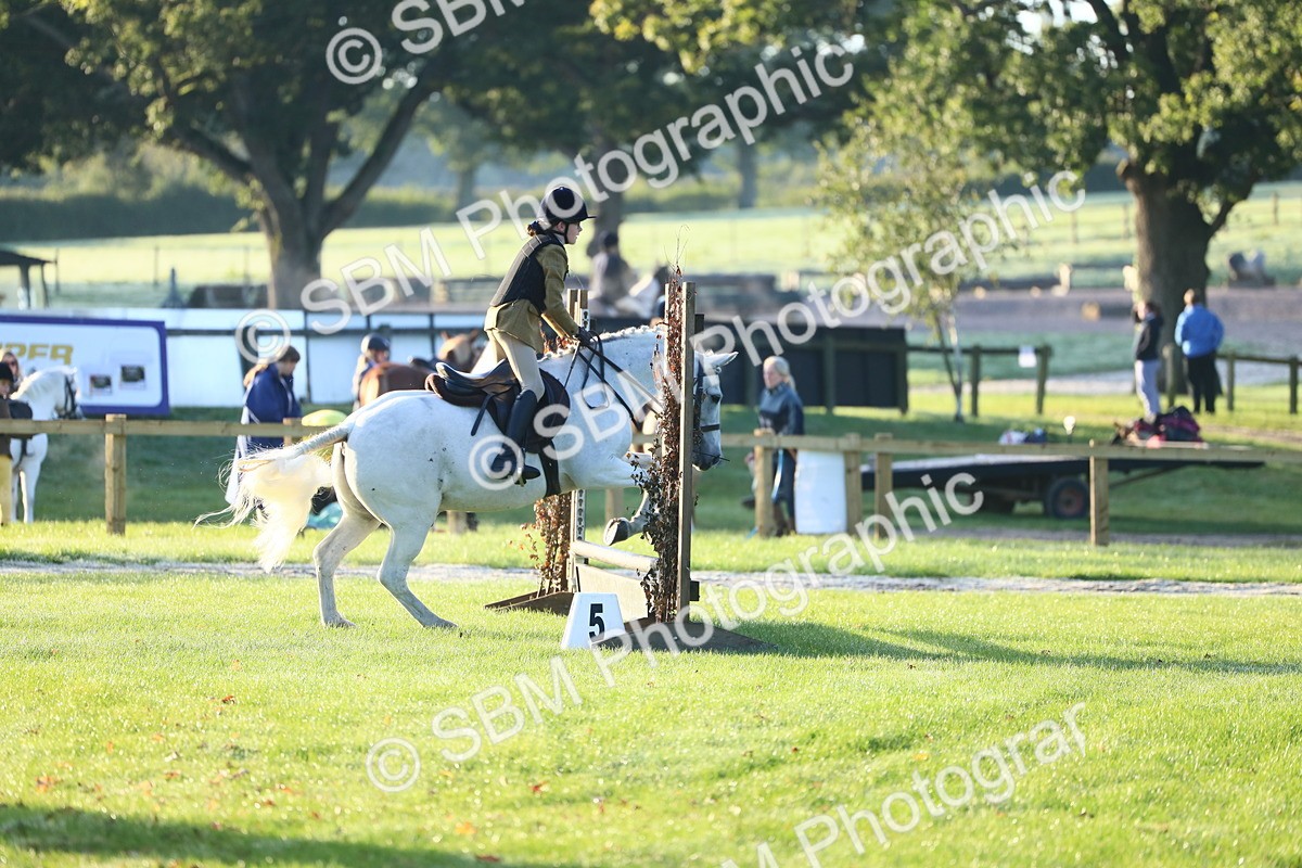 SBM_31717 - S28 - Nursery Stakes Working Hunter Pony