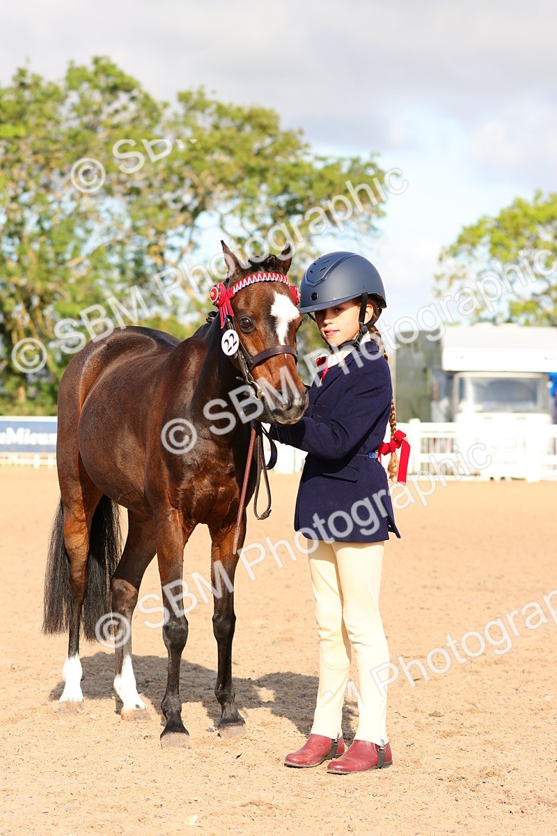 SBM_08676 - Class 203 - Young Handler 10 Years and Under