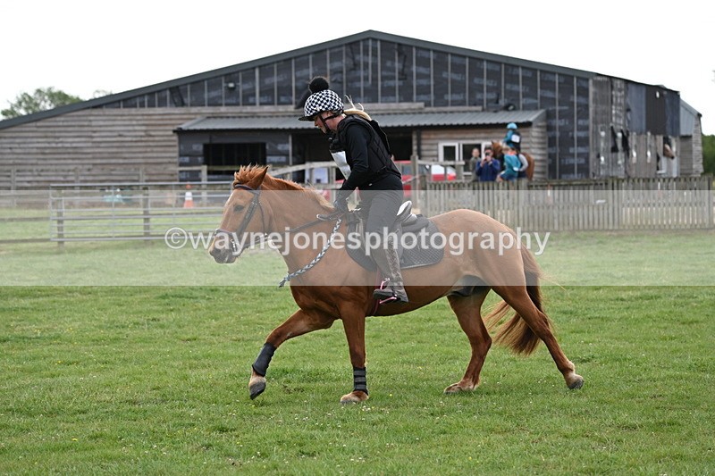 WJ6_2225 - Class 2 40cm